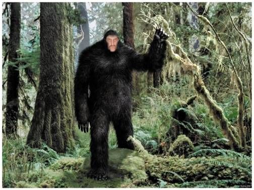 We're Not Bigfoot - Later that day Neal shaved and went to dinner at Applebee's. No one suspected a thing.