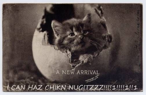 A Meme is Born - LOLcats: The Origin - From 1902, one of the earliest known LOLcats...